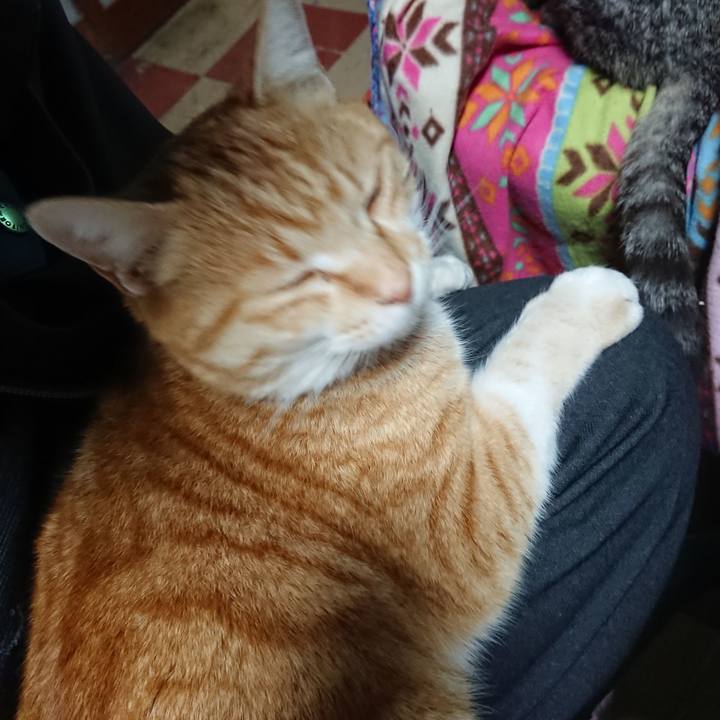 02f4039c a494 4f3e ab28 fcef58d1cbac 1584914317450