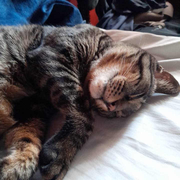 02f4675f 8c07 456b a376 77aa92cb2a14 1770460462639