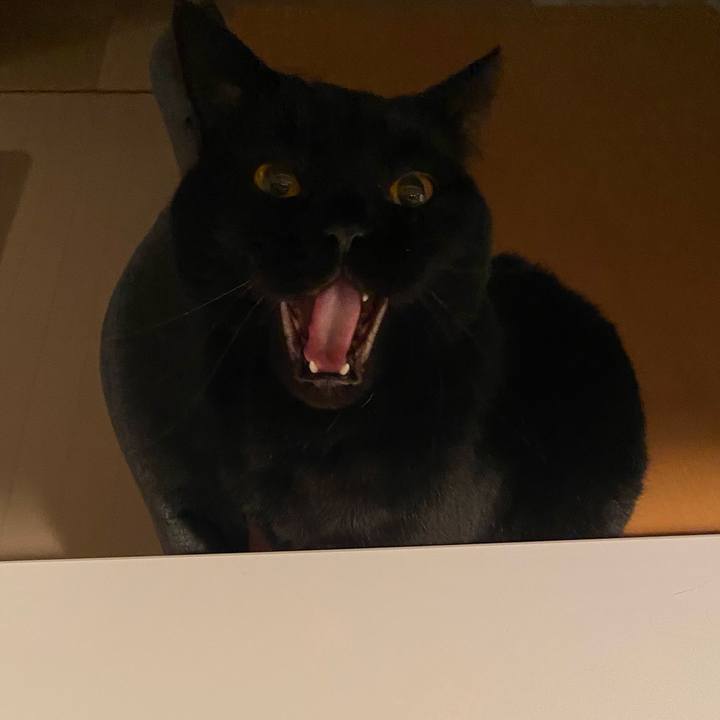 02f4af3c dcb5 4ee4 aa18 afbfb7008776 1743504539754