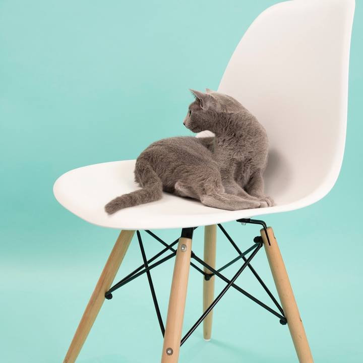 02f4d493 a172 469e a4d0 5192b8e4fda7 1656370716129