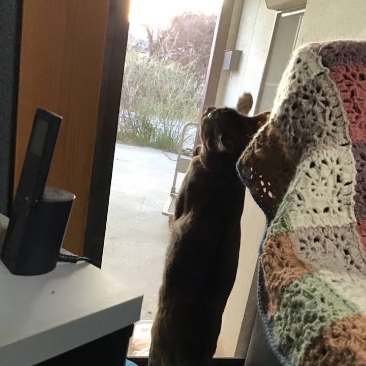 02f4fa1a f792 462b 83d6 d51d611c7135 1585127904706