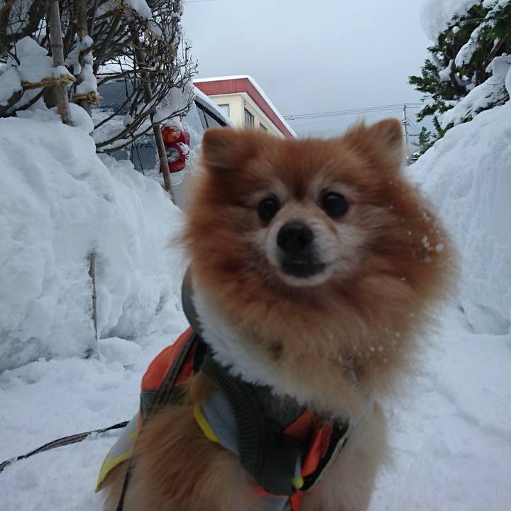 02f51cac dcd5 42da 94d3 f59369640903 1524996621680