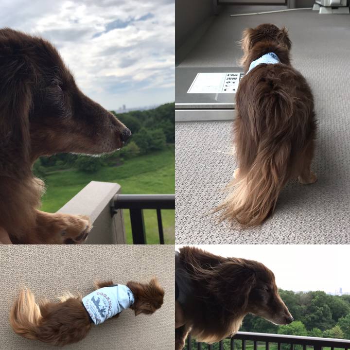 02f525e0 3746 4e81 932e b3b811619080 1559002533456