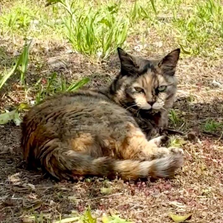 02f53975 9a8f 49ea a9a9 539b49c9edf9 1775098256282