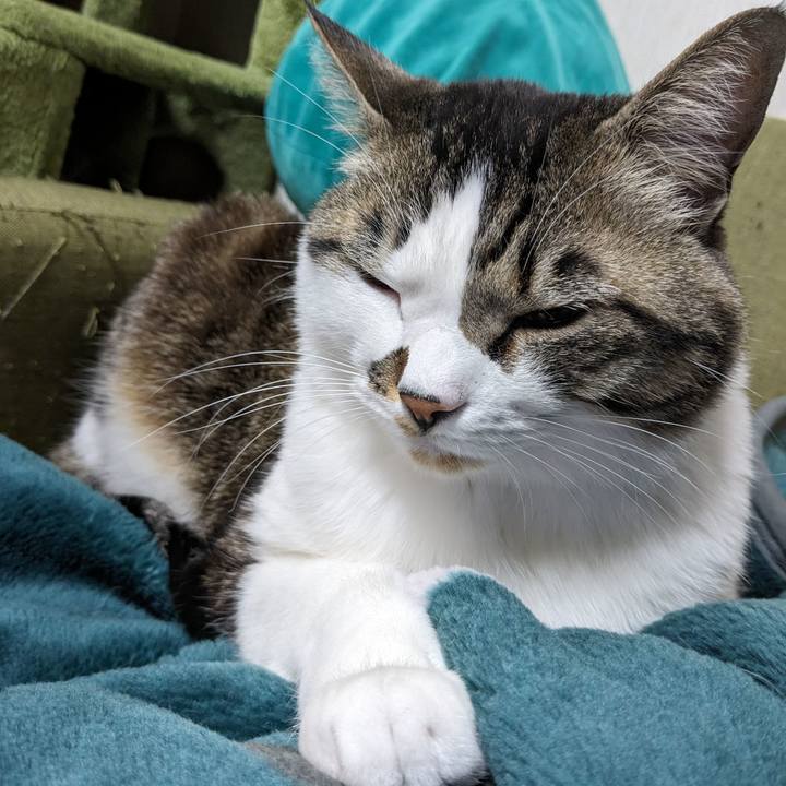 02f53c4e dad9 4e1a aea4 439304388592 1709255447940