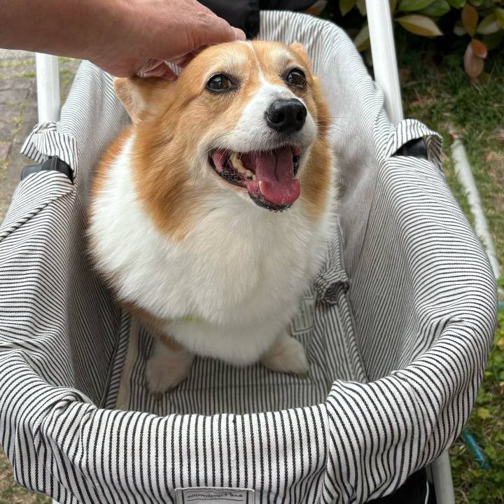 02f55ec5 8fcb 4d6b ba82 935ebd10ceb4 1746149716753