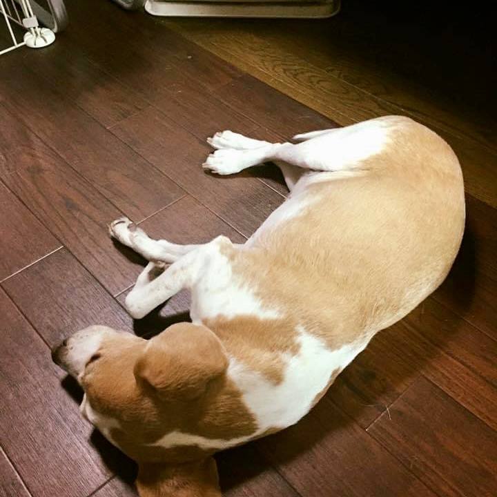 02f568c1 4707 4054 be2b 4557f86fe605 1607226804503