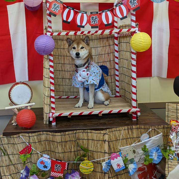 02f56c82 1971 4778 8bfa bd3d753ca93b 1722850721592