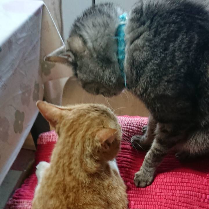 02f57538 cd09 4f68 b8be 4d99d6384c43 1555113585967