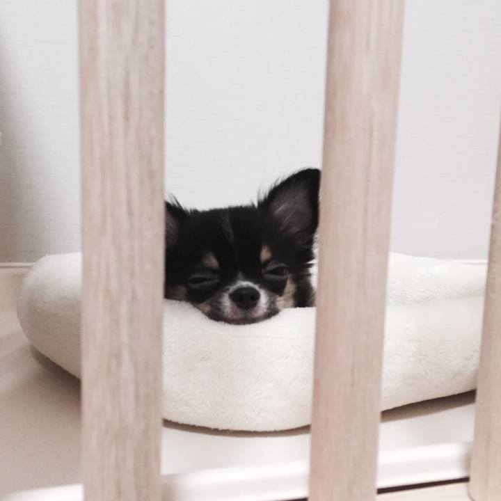 02f5b173 6631 4b21 a536 c8cde1467dad 1508250989256