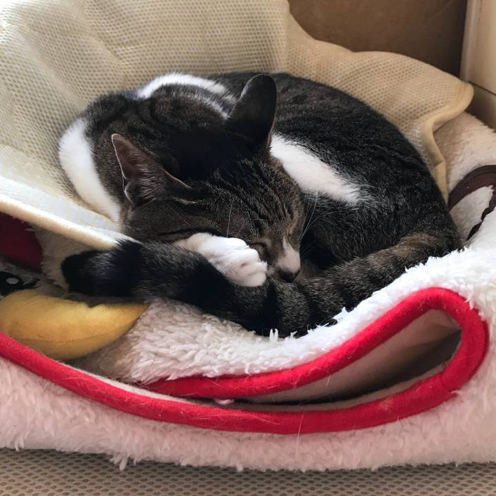 02f5bea9 d0b2 40c9 a533 be02840e03db 1527989846184