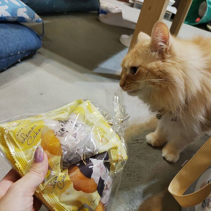 02f60be5 88b7 4089 82c5 424eebbec96a 1722857767795