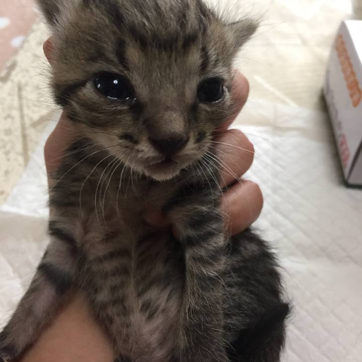 02f639c7 aa70 4c13 8d44 db3876cfc567 1531545945673