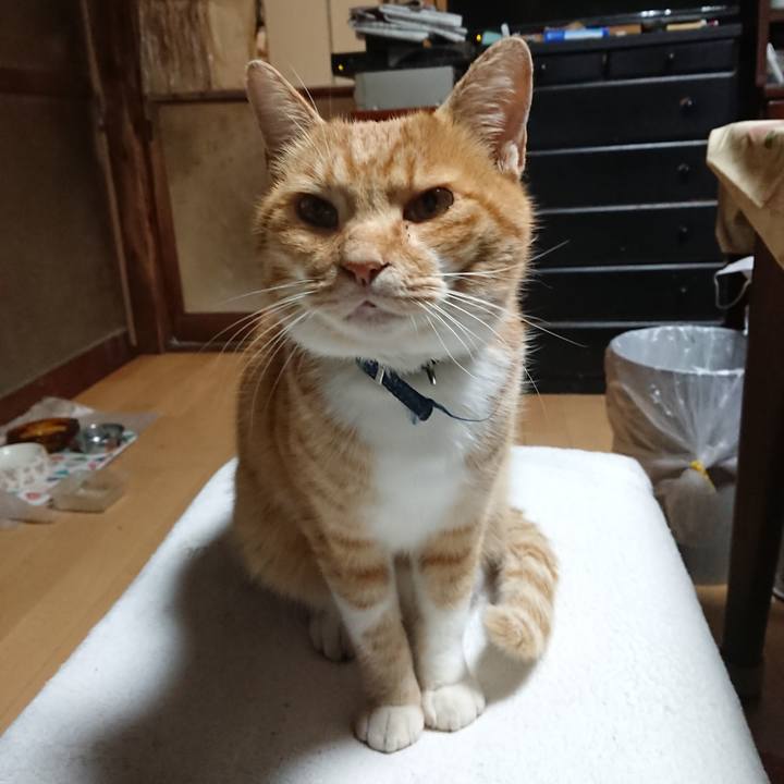 02f64f1f 9839 4057 942c 2d976dab824f 1604174533788