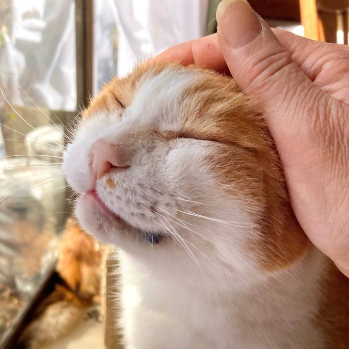 02f65cf2 10ea 4660 9133 5d5fb99528ed 1733539484249