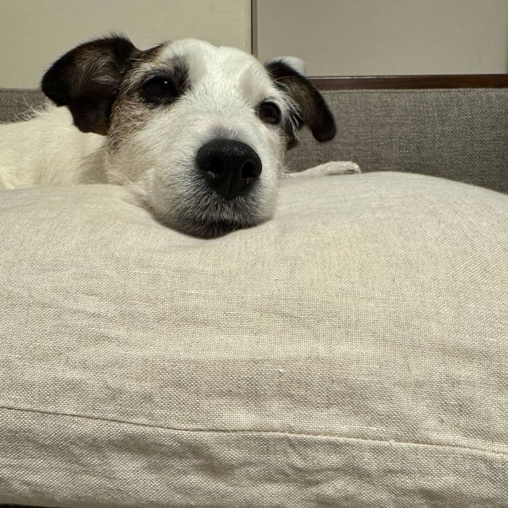 02f6763a 3b54 4337 a7b9 ad7da9a7738d 1766066170692