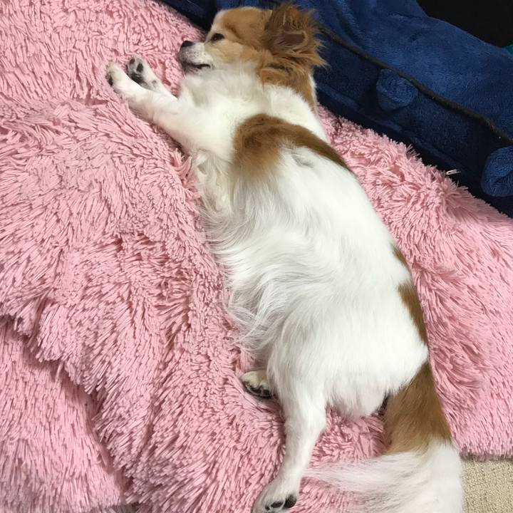 02f69559 d4dd 47b8 a398 6734bcb999f4 1524398676837