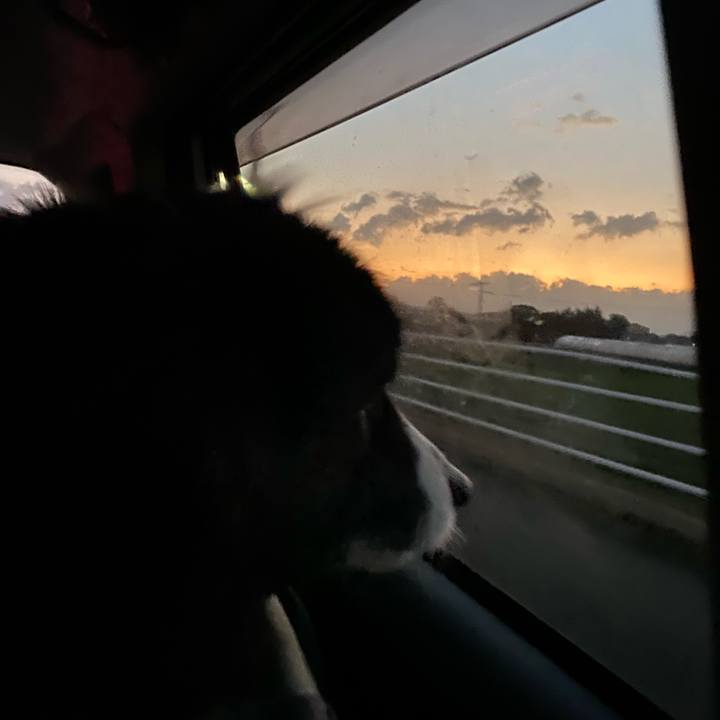 02f6ccdf 7575 4326 b081 dc8408a55f94 1673301548830