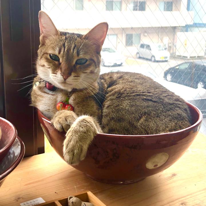 02f71bd4 5afa 40e2 8db3 01afa01b42bc 1655967185597