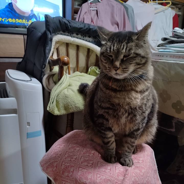 02f71c4b 98de 4476 8485 81bc01ee4a79 1683720377095