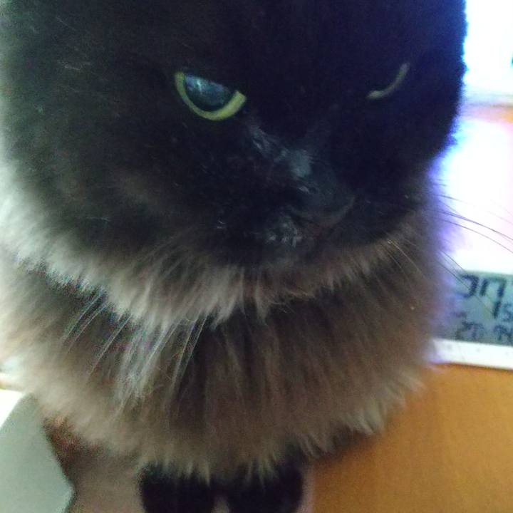 02f74709 dc93 4ae1 91d4 71834305b89e 1662157800201