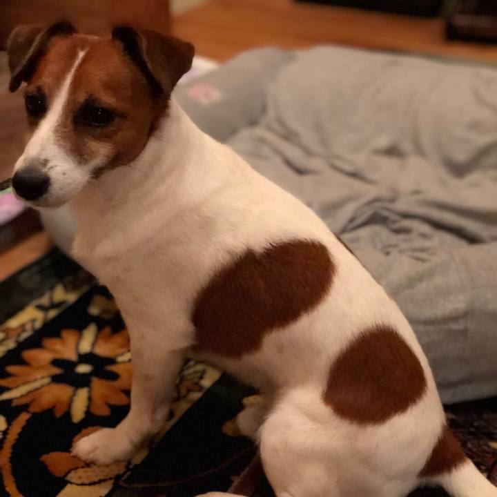 02f75bf9 32ac 4e6a 90dd 941dd8dc858a 1534852817230