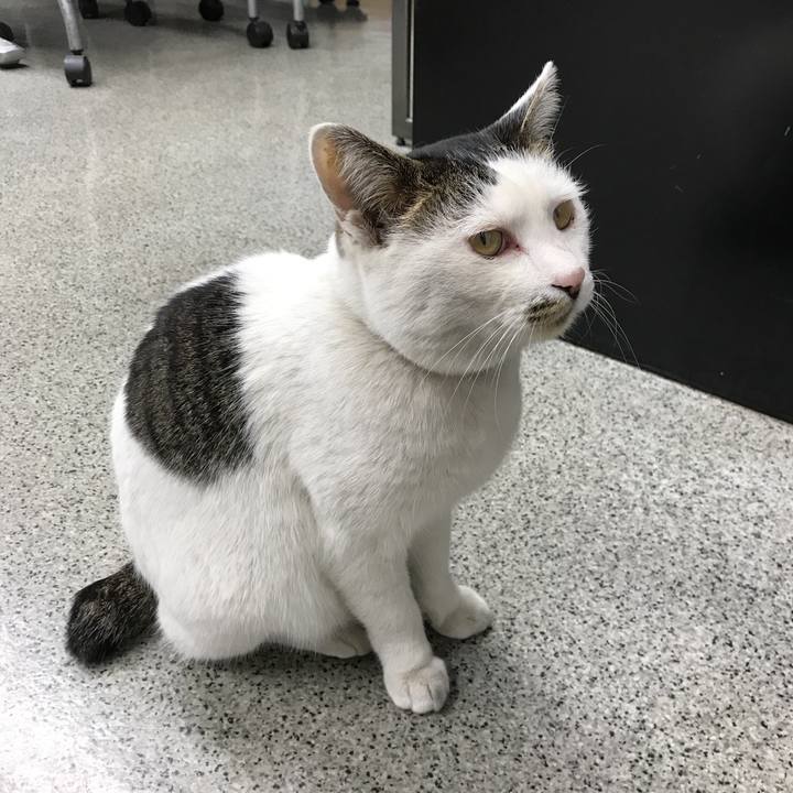 02f792ee 77e0 4df7 a0b0 e6517f35428e 1515658053672