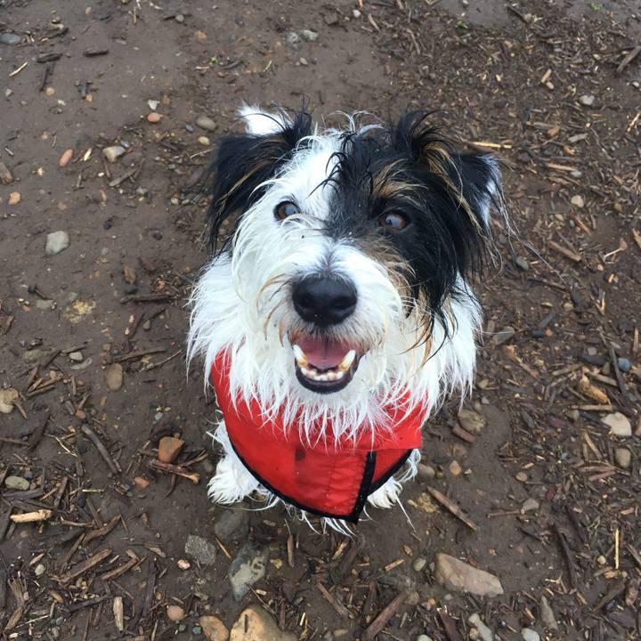 02f7f391 4414 4839 b318 0b1e31b15193 1526246978154