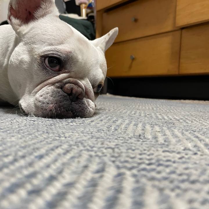 02f8182a e022 4632 9a4e fd176beec77d 1759272432821