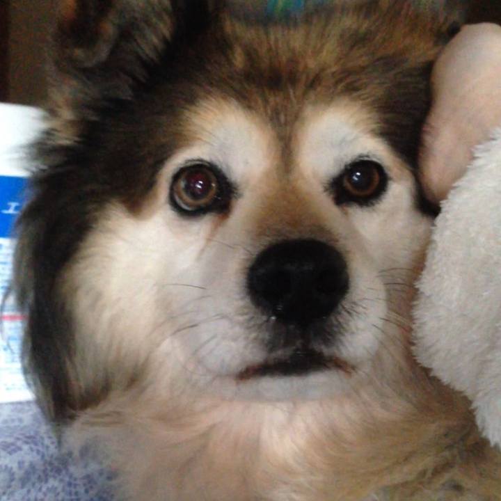 02f835c1 6bc2 4807 9bbc de8568e5f183 1586396182211