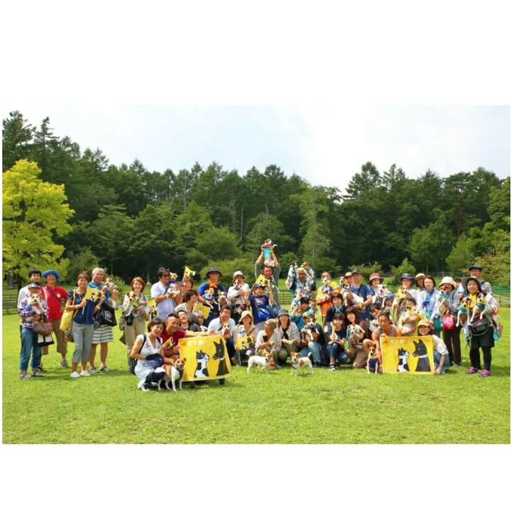 02f84f39 7db5 42f4 b45a c8d548fe8e44 1566944537245