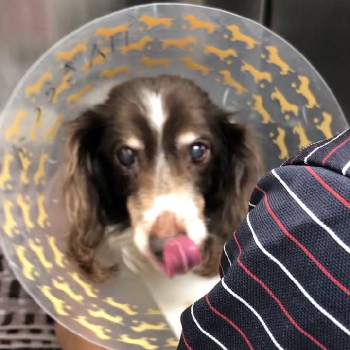 02f89311 8551 485e 8df7 84c944c15431 1558913234470