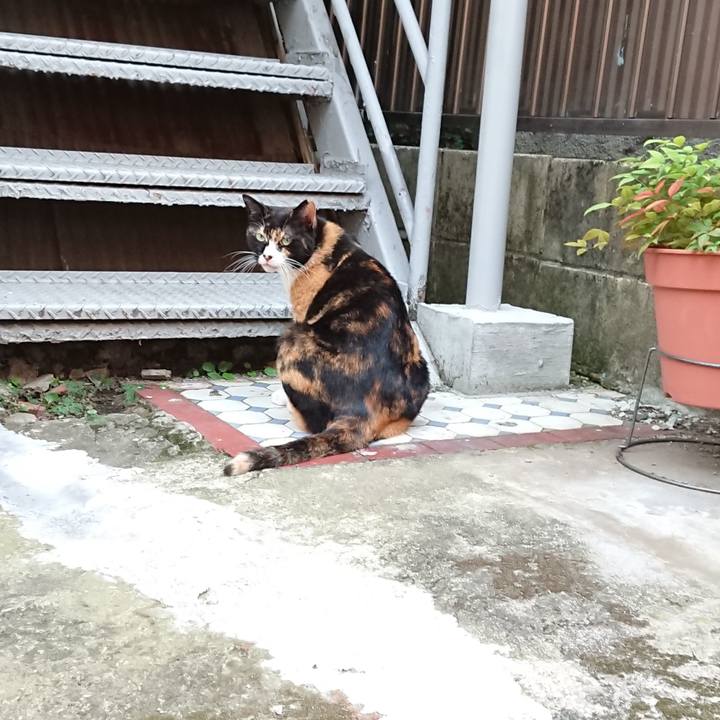 02f8ad2e 2648 4ec5 a33a 32dab329d1d7 1629966467186