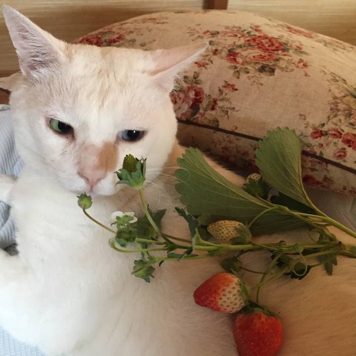 02f8cdaa 7a64 45f4 ab43 3870f99682c9 1526853577503