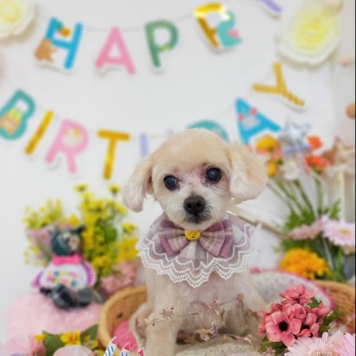 02f8f777 61a0 4fa1 bab3 5c52a2db76a0 1665689854052