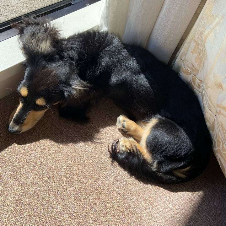 02f9001e 0d1f 4e81 b249 05e75d17f9e3 1677035282655