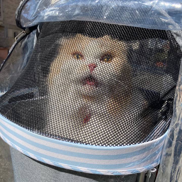 02f9023e e539 486a 81f4 8587a2ac0e55 1614522767522