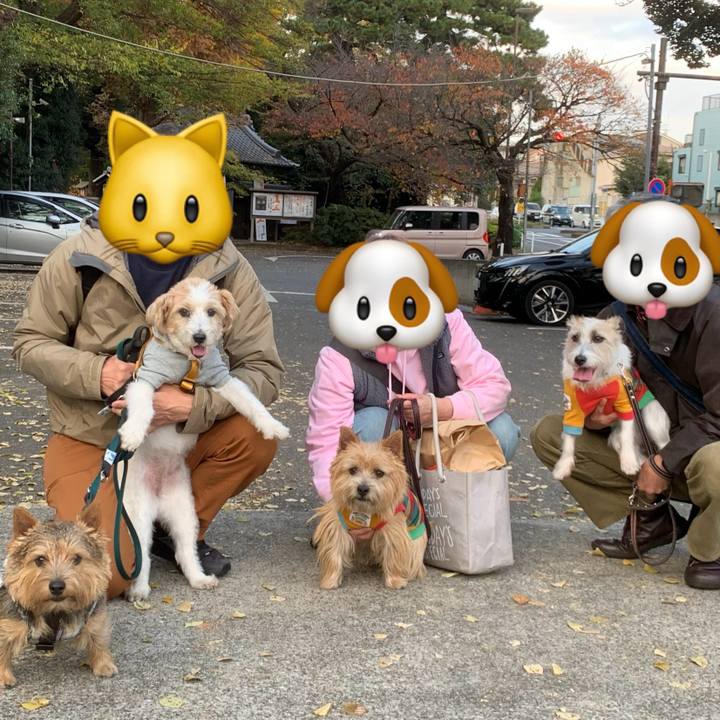 02f91b54 dd6c 46dd be1d 2beb4853eced 1763942800695