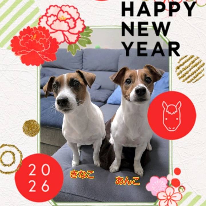 02f959c9 4b58 4a4b 9d7b 9428f0f0f700 1767235154443