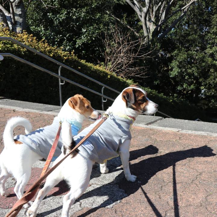 02f96554 19c2 41a0 817b 6cf8f8e1f605 1517978334065