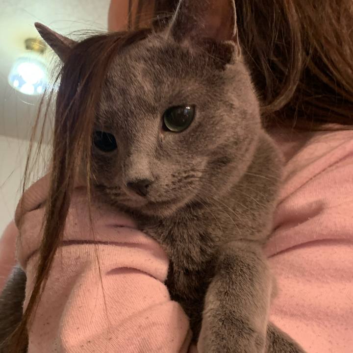 02f99cbd 553e 4d01 b599 e2dea69aa8ed 1585479061502