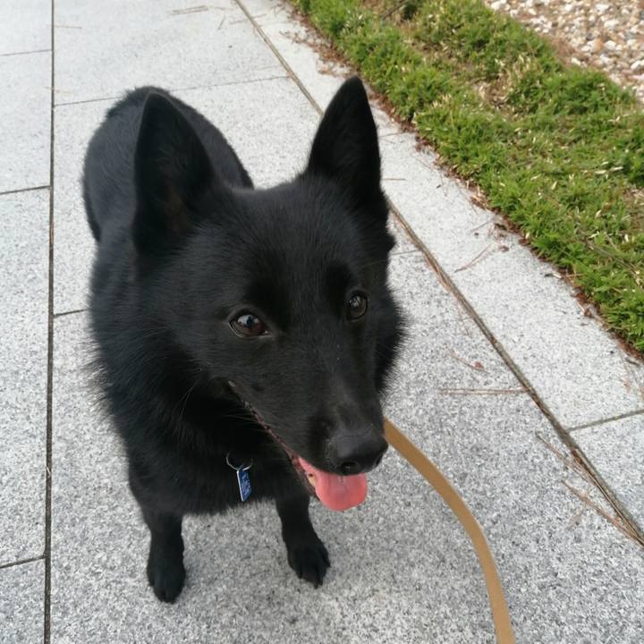 02f9b7b7 02c4 4185 a063 d68bc3c124db 1629839813268