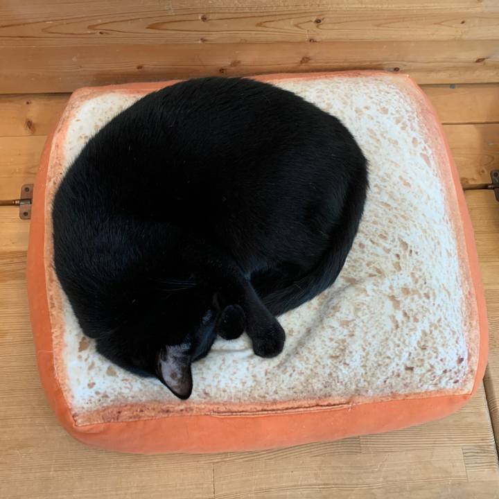 02f9ca78 9b92 4563 bc81 11f507c6157c 1647296150519