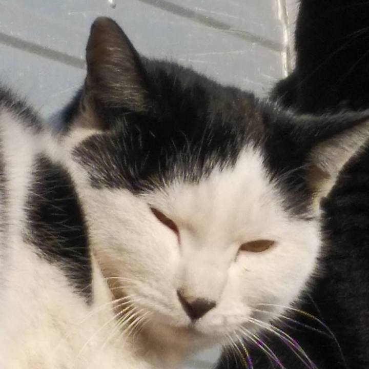 02f9d203 c7aa 4277 a877 1cb5d384591a 1611279032792