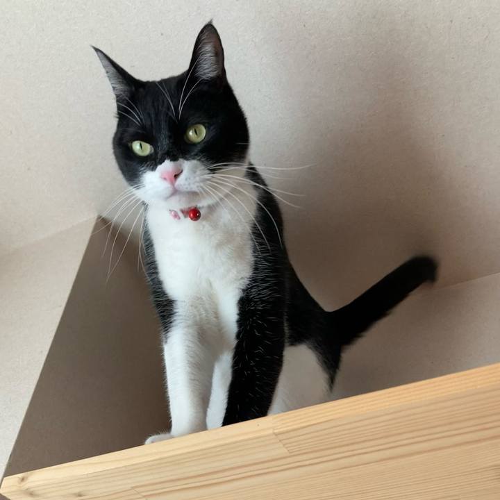 02f9d27f c0e3 428b 9267 1834ad12430f 1675228105166