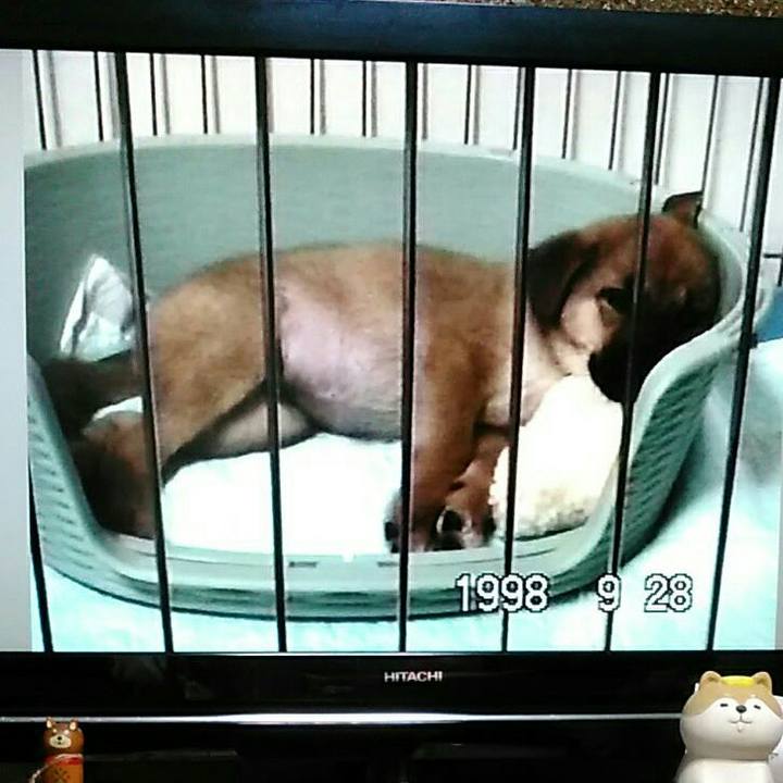 02f9d7ac 307b 4120 9137 e3a0b3b215fb 1558434386139