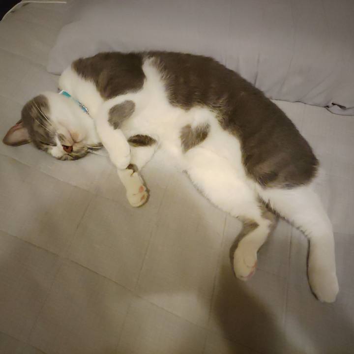 02f9e0c4 5d69 4f6d ac5b 7a3542fdbcb9 1659876377696