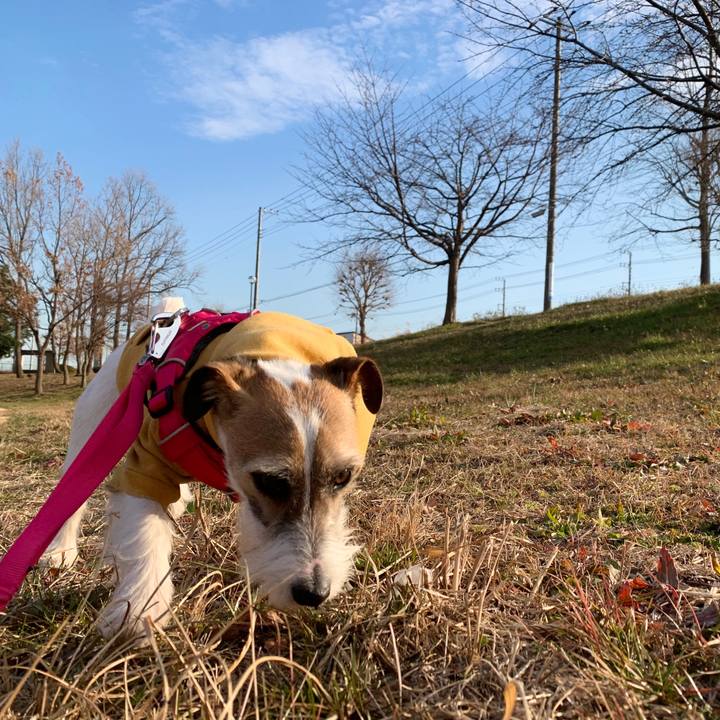 02f9e710 5a03 4720 bbbb a7943703d331 1581494168363