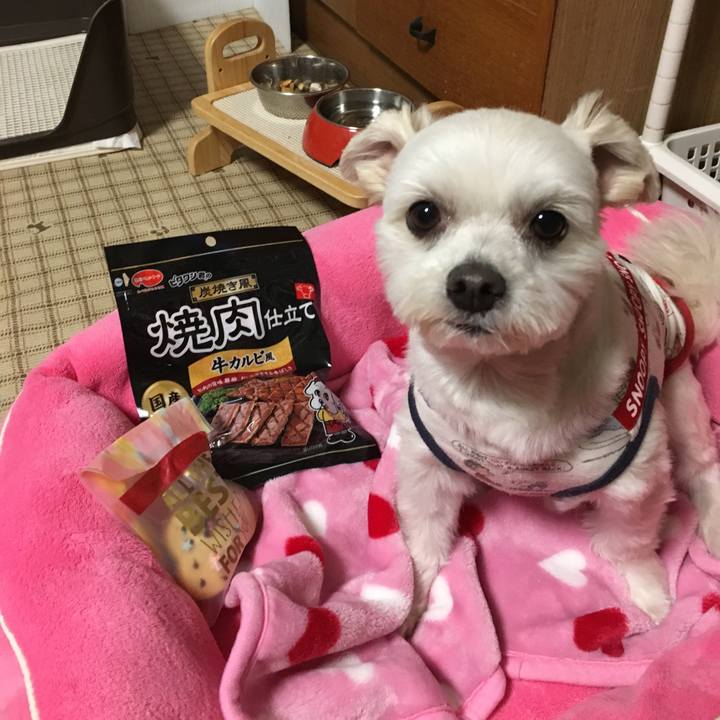 02f9ec29 c1cb 4f50 9e44 e3eb2b5fb697 1550738716590