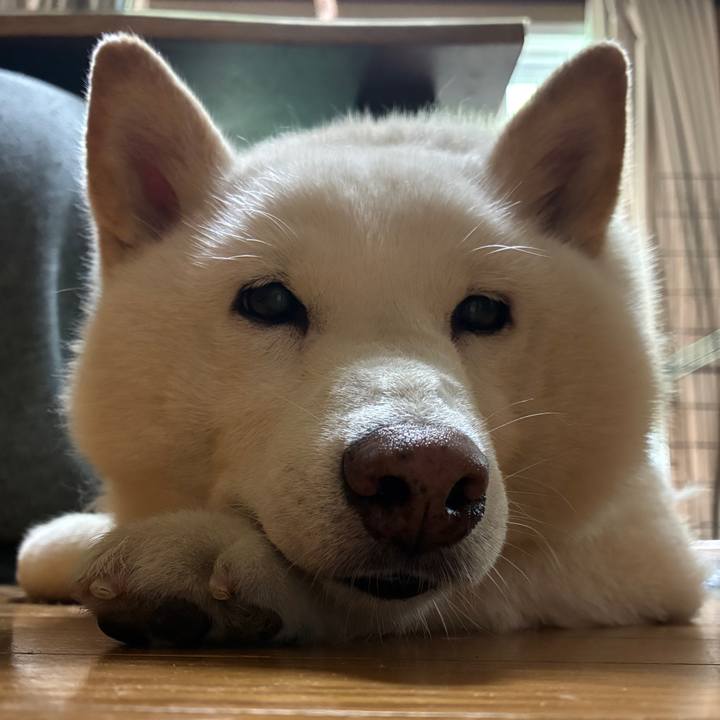 02f9fed5 2611 4fc0 b97b 38b61a125557 1747863870460